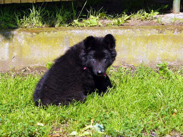 June 2007