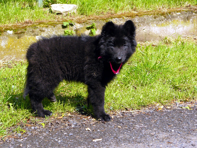 June 2007