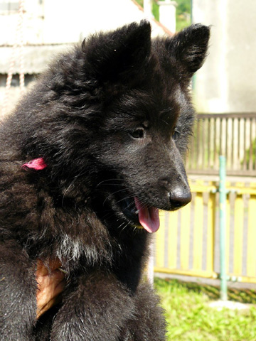 June 2007
