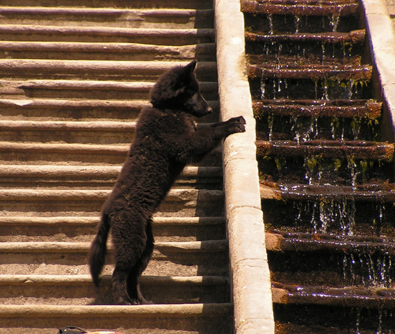 September 2007