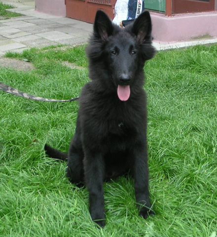 September 2007