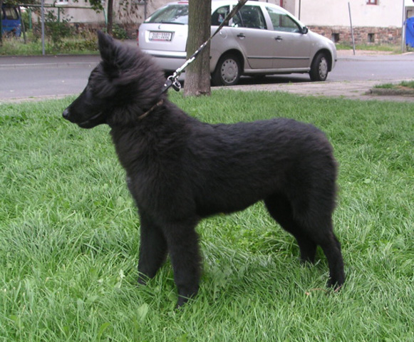 September 2007