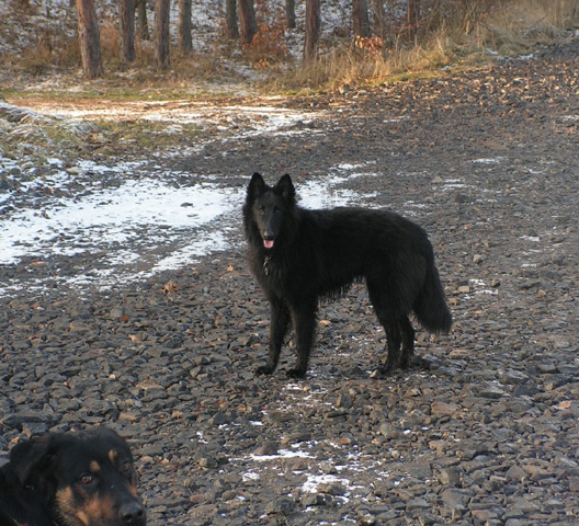 December 2007