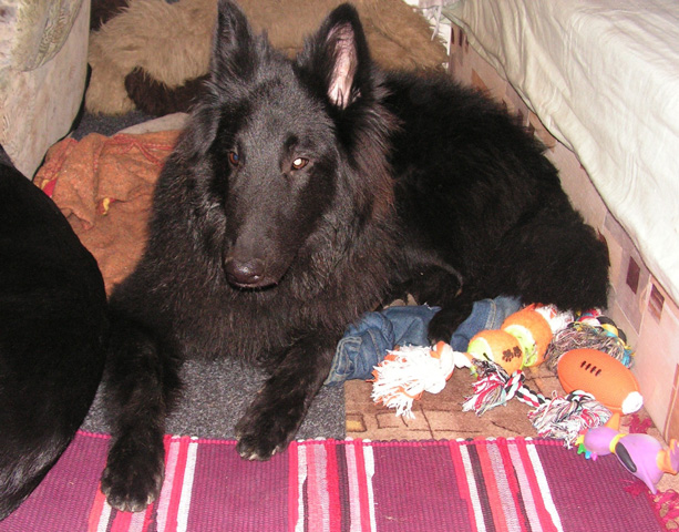 December 2007