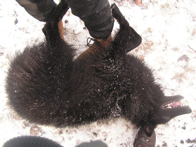 December 2007