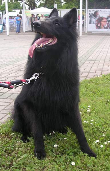 May 2010 - 3 years old