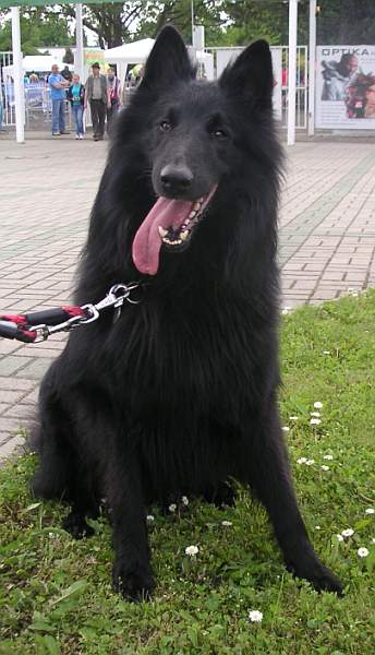 May 2010 - 3 years old