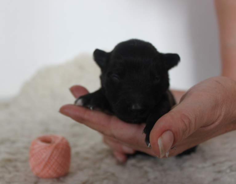 4 weeks 19
