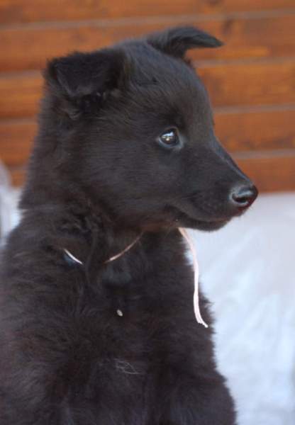 8 weeks 22