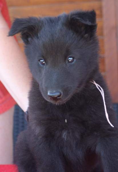 8 weeks 23