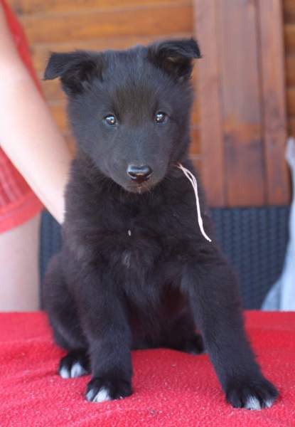 8 weeks 24