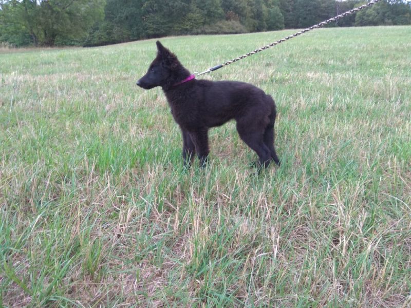 4 months 5