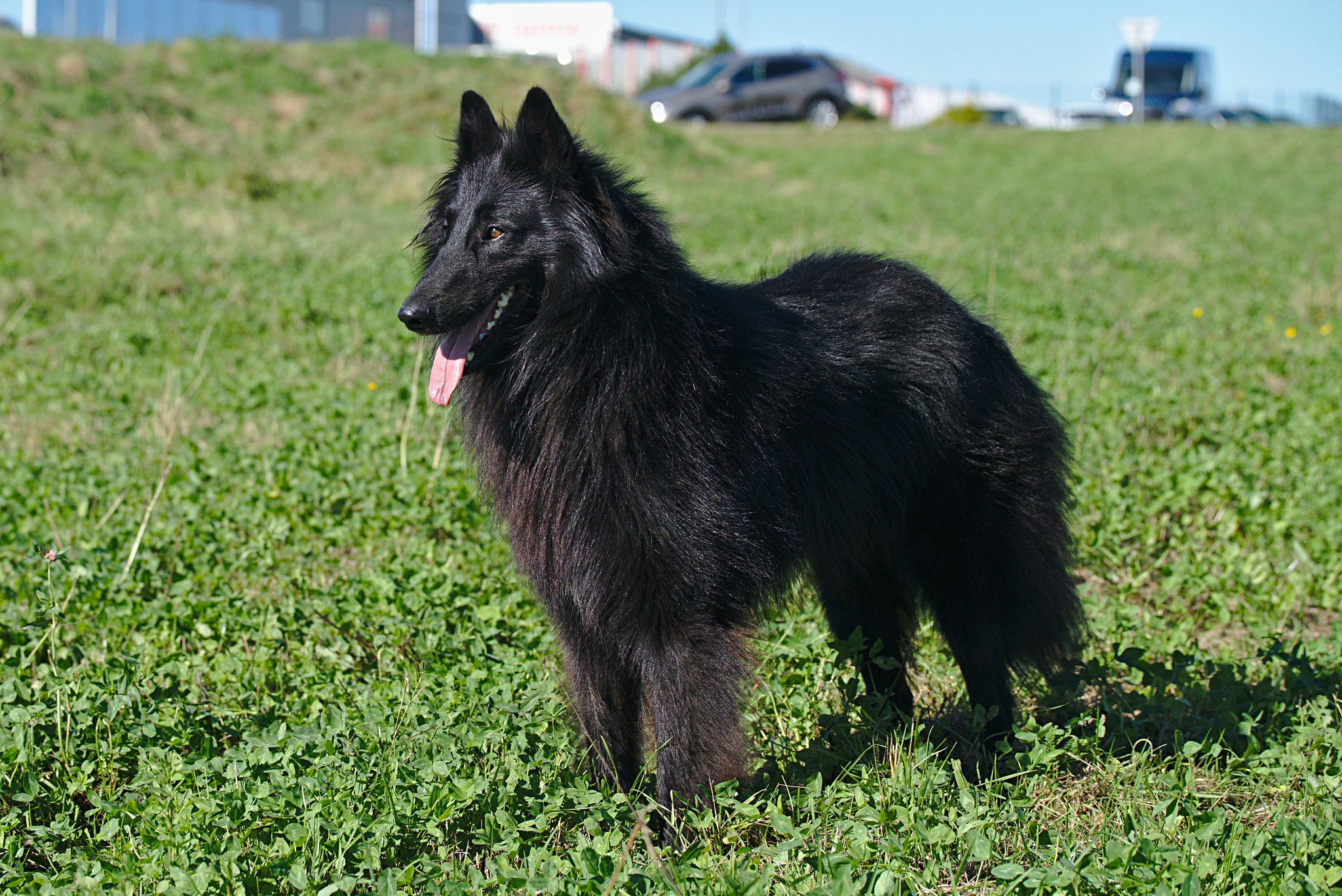 2,5 roku 13