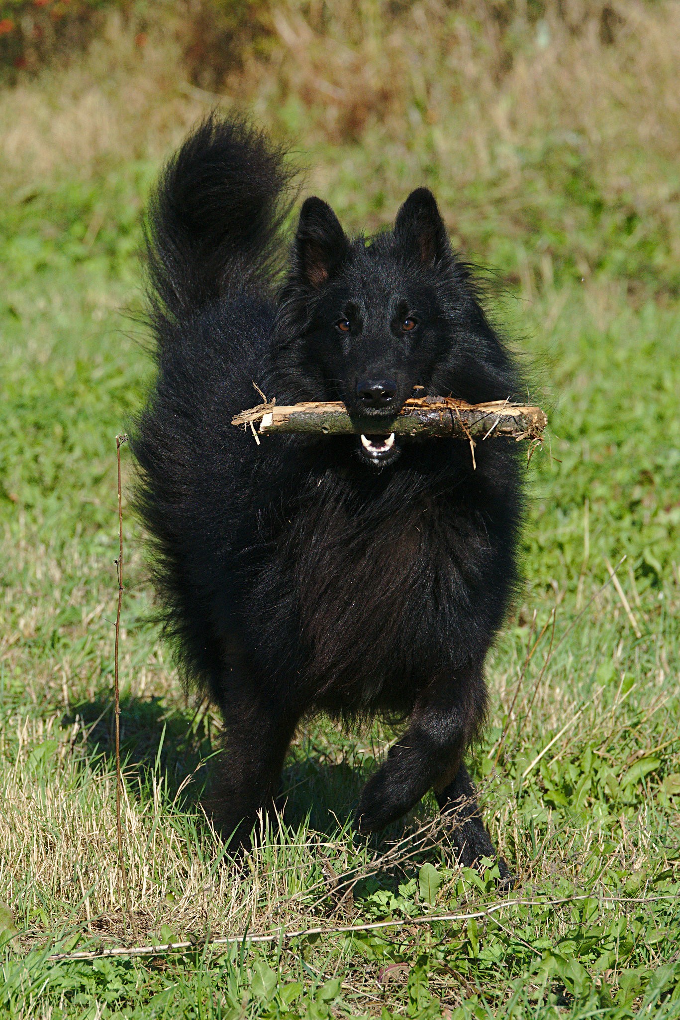 2,5 roku 14