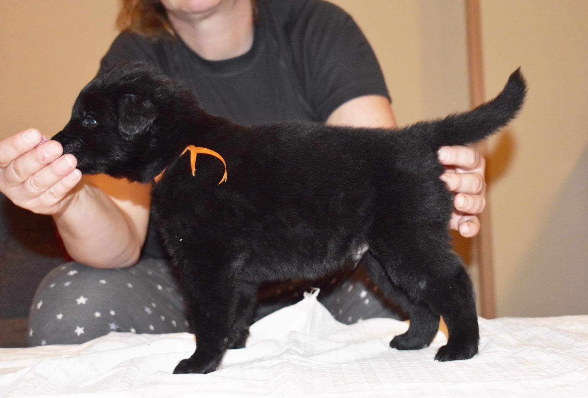 4 weeks old 1