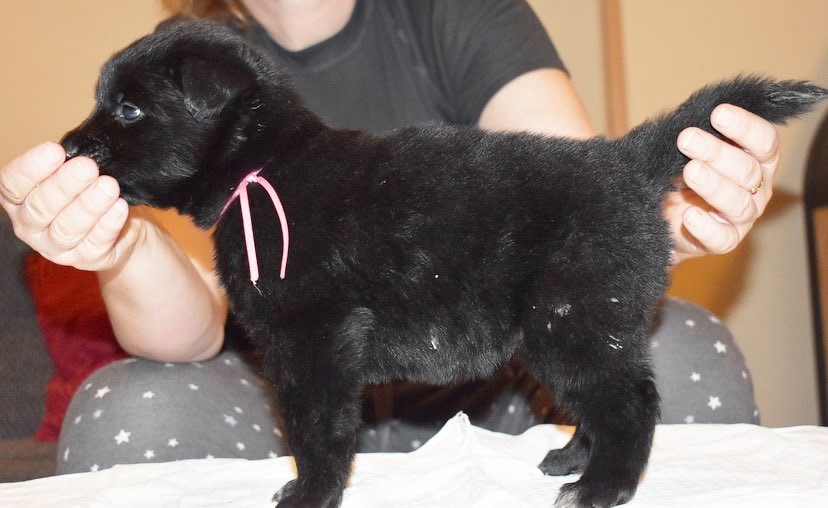 4 weeks old 2