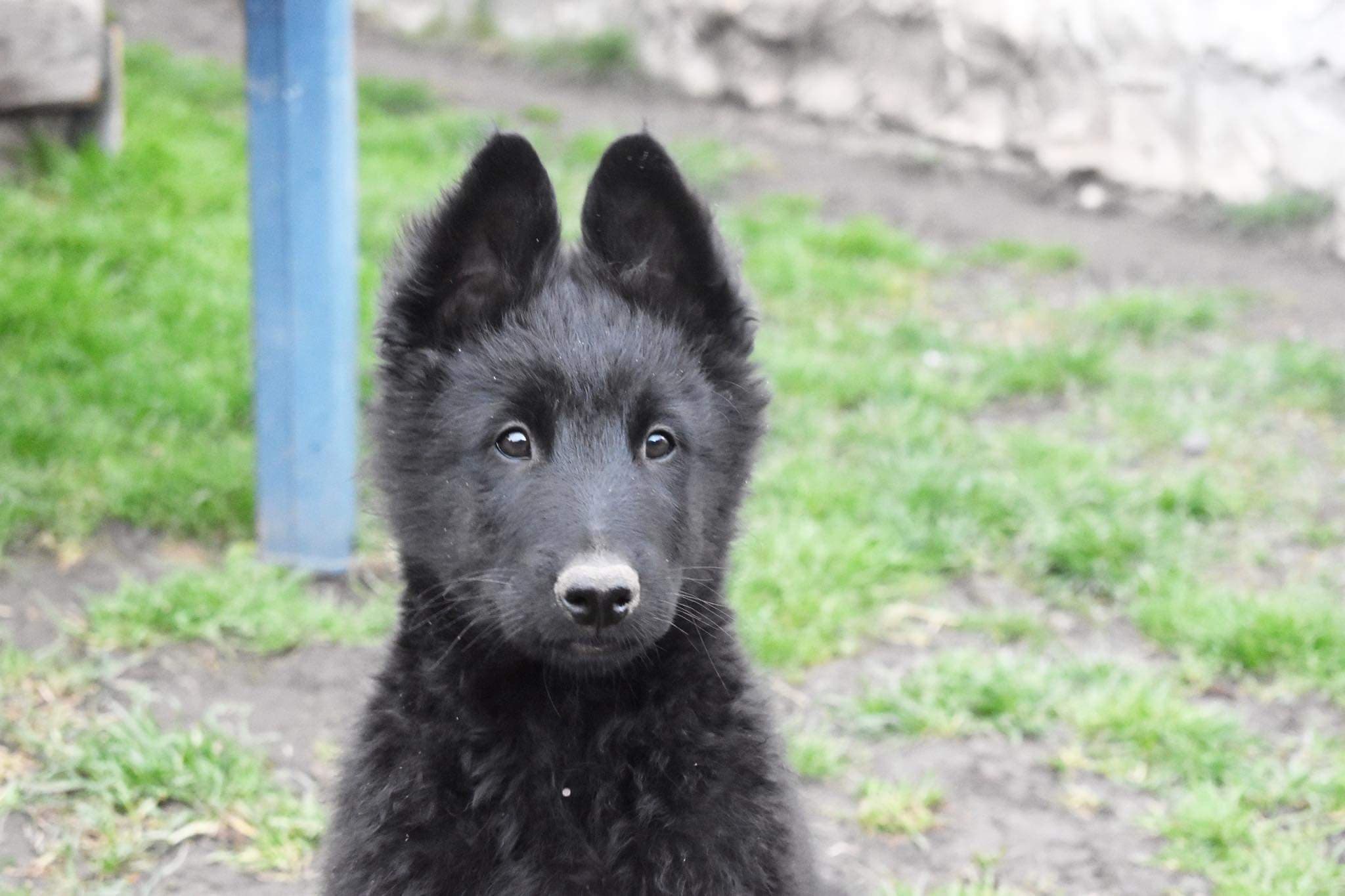 10 weeks 2