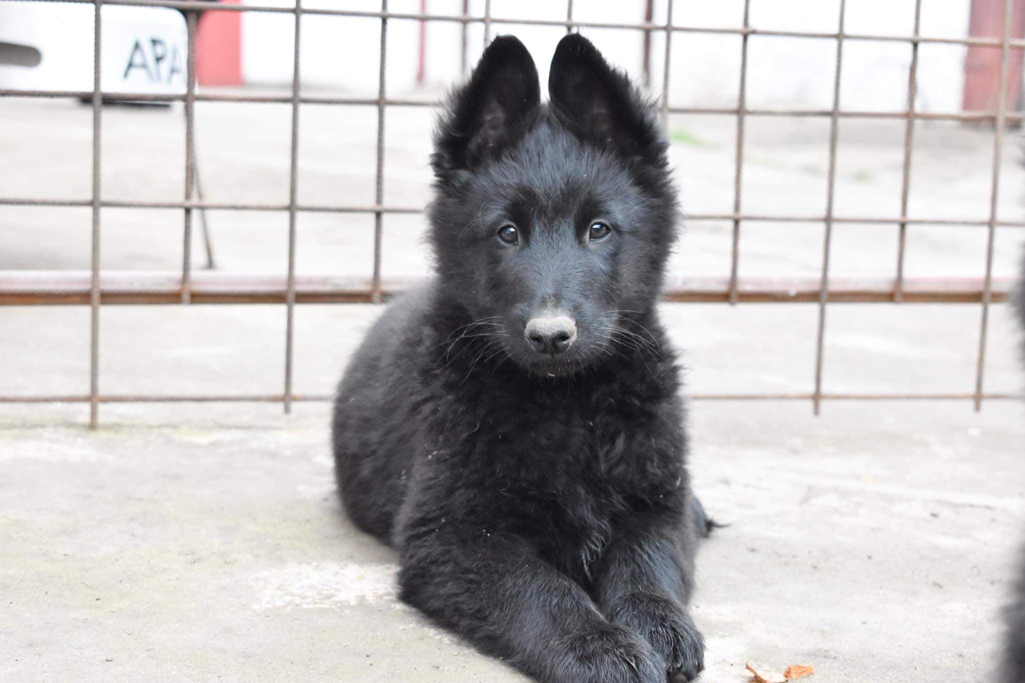10 weeks 3