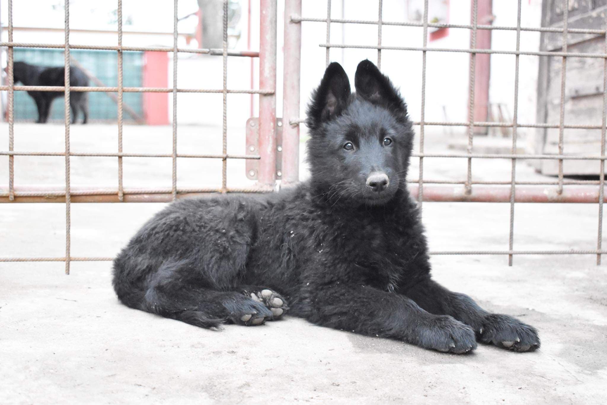 10 weeks 4