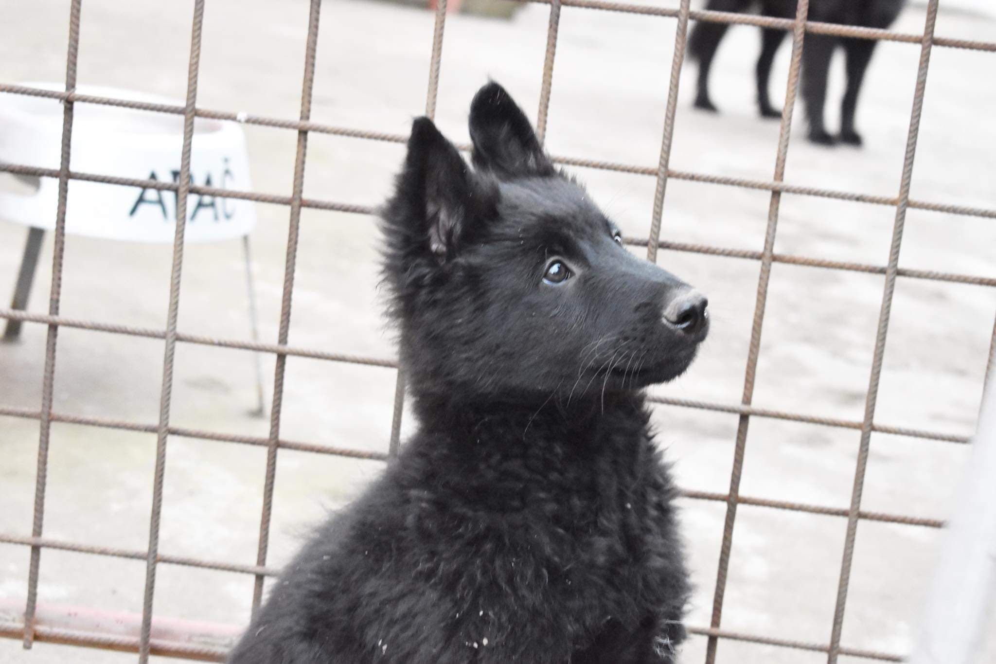 10 weeks 5