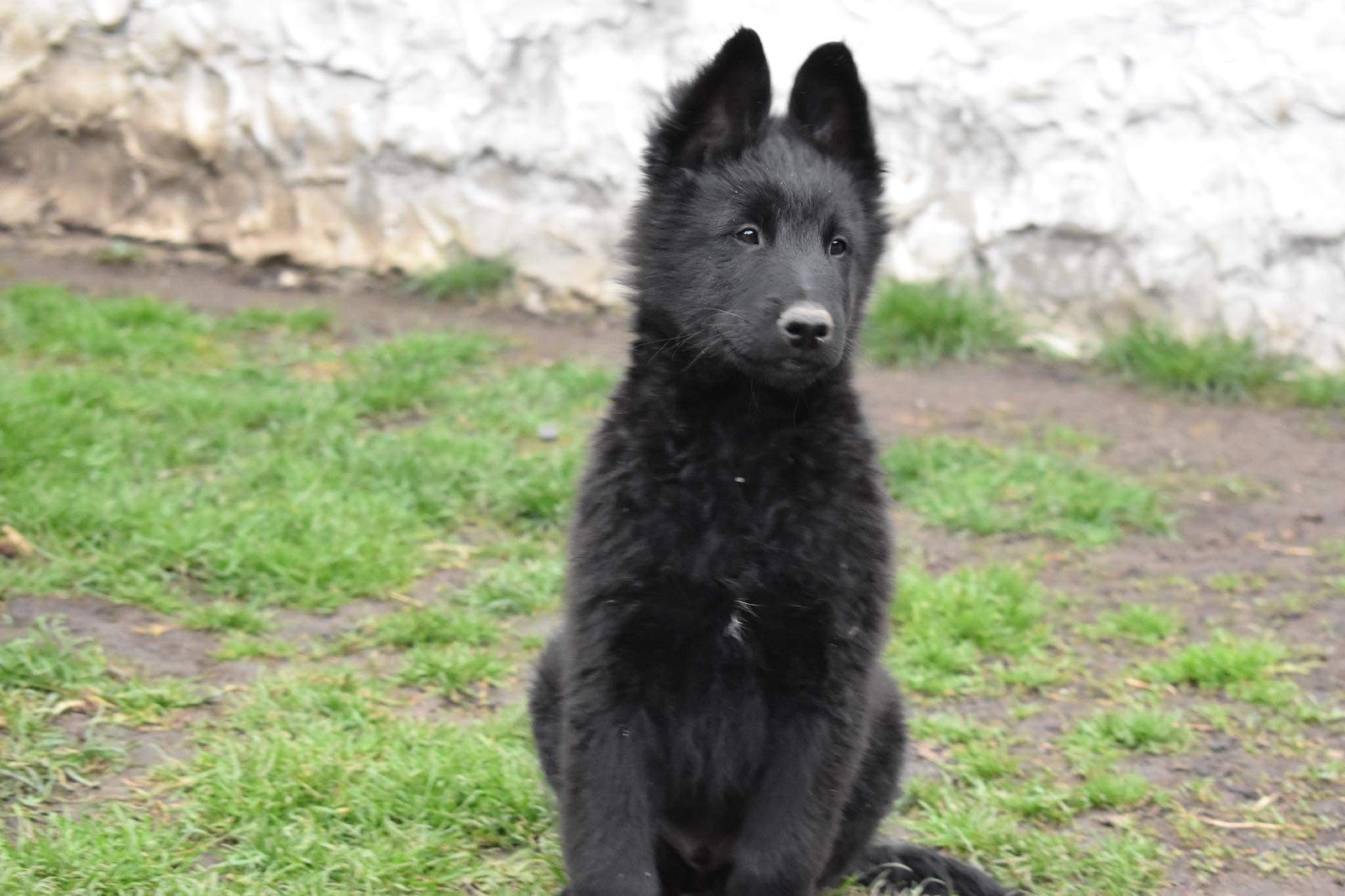 10 weeks 6