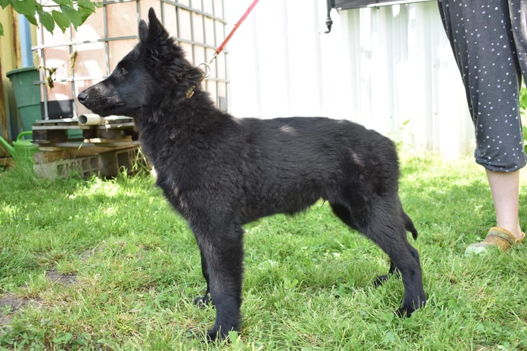 15 weeks 1