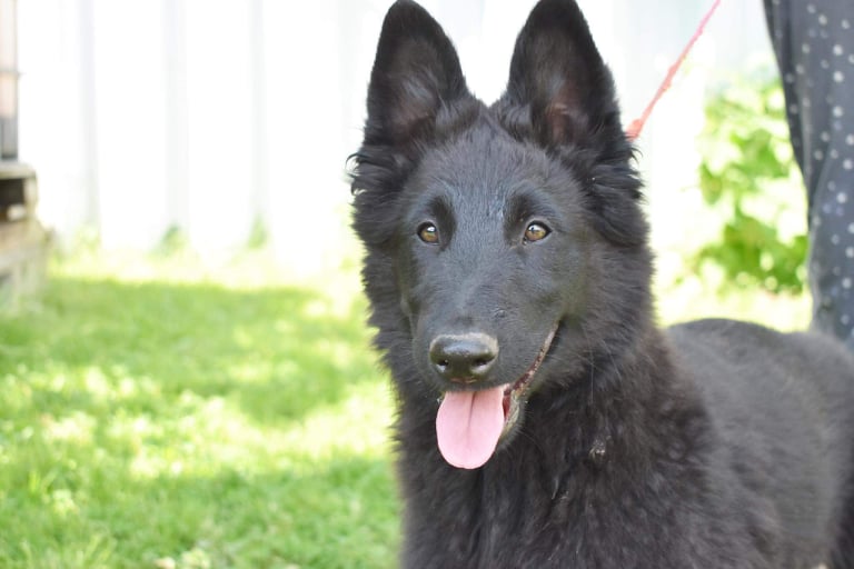 15 weeks 3