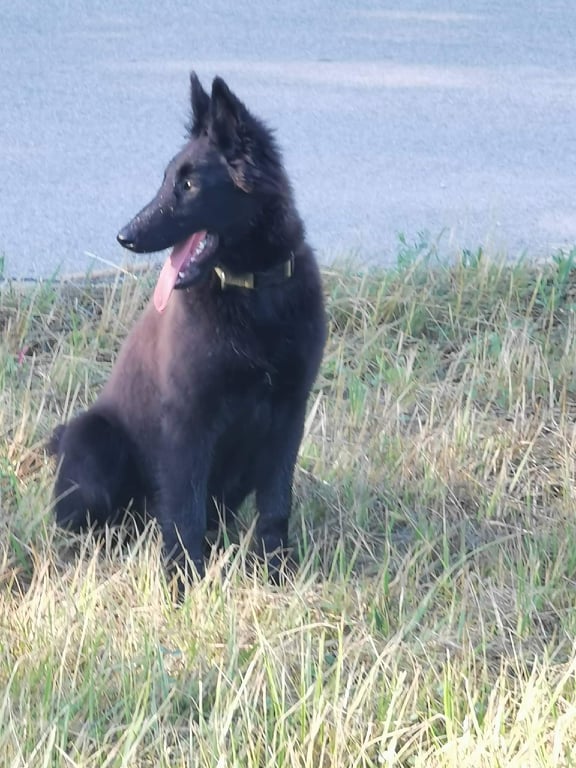 4 months old