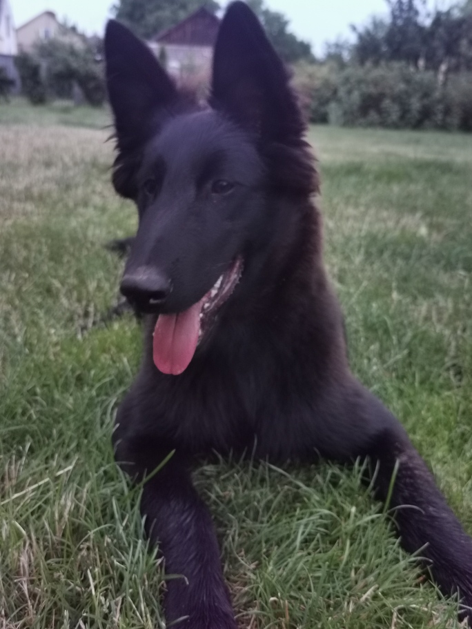 4.5 months old 1