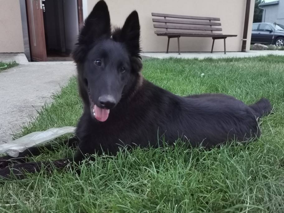 4.5 months old 2