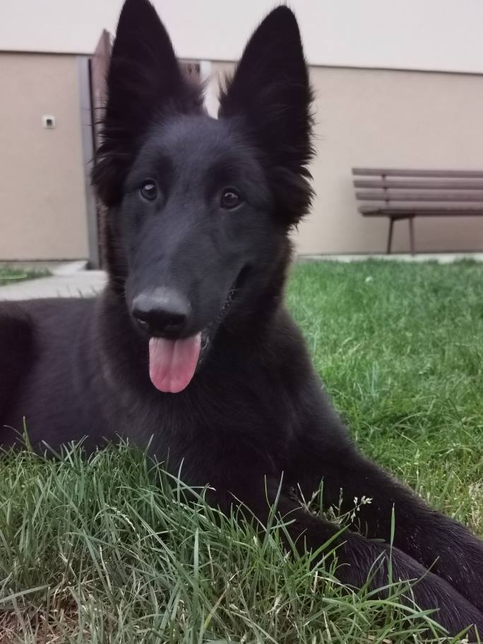 4.5 months old 3