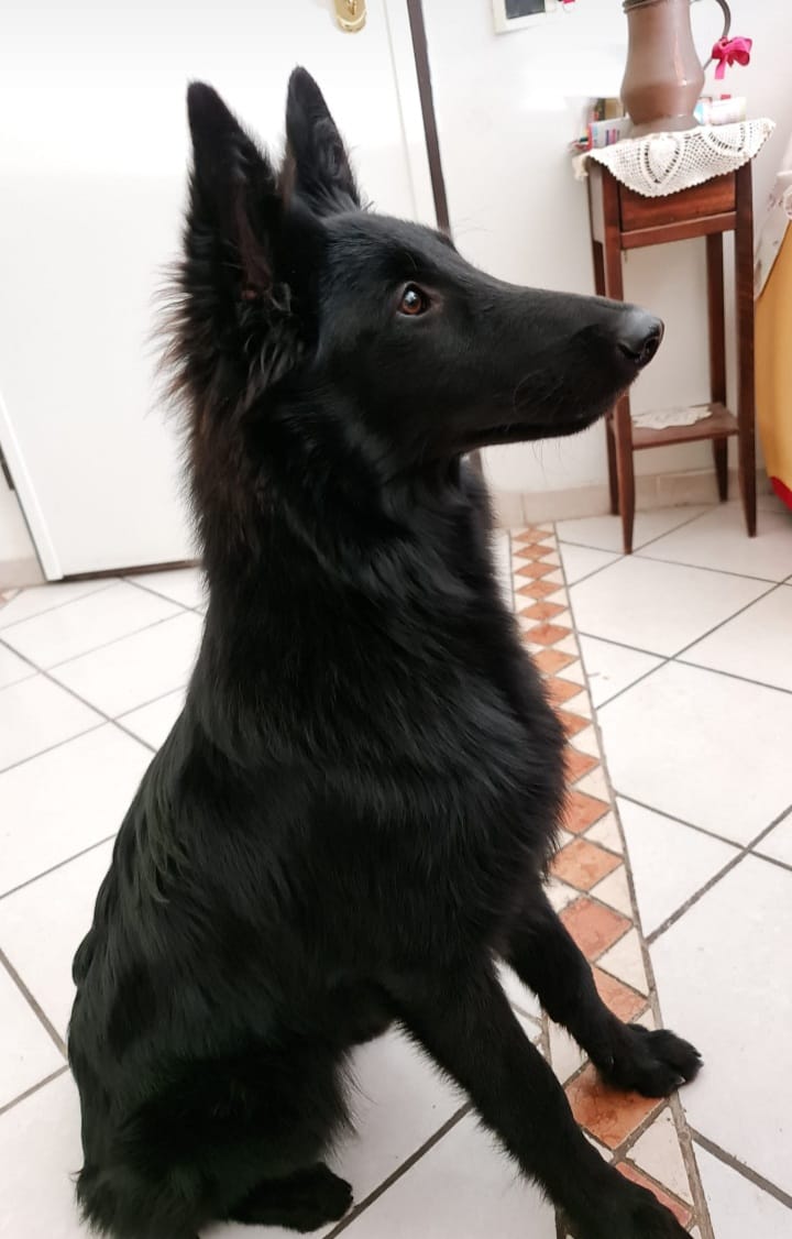 6 months