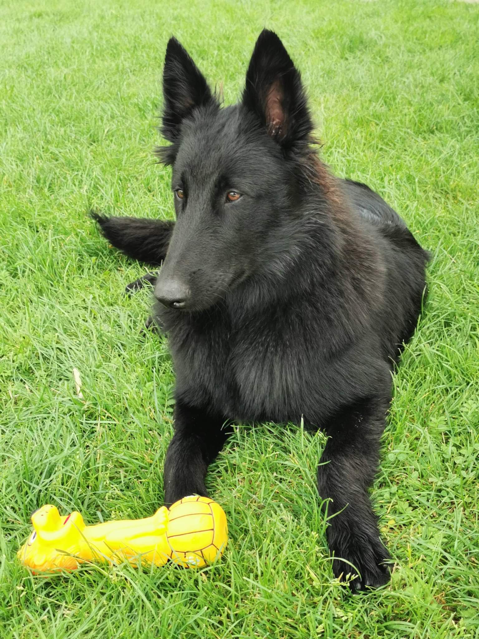 6 months old