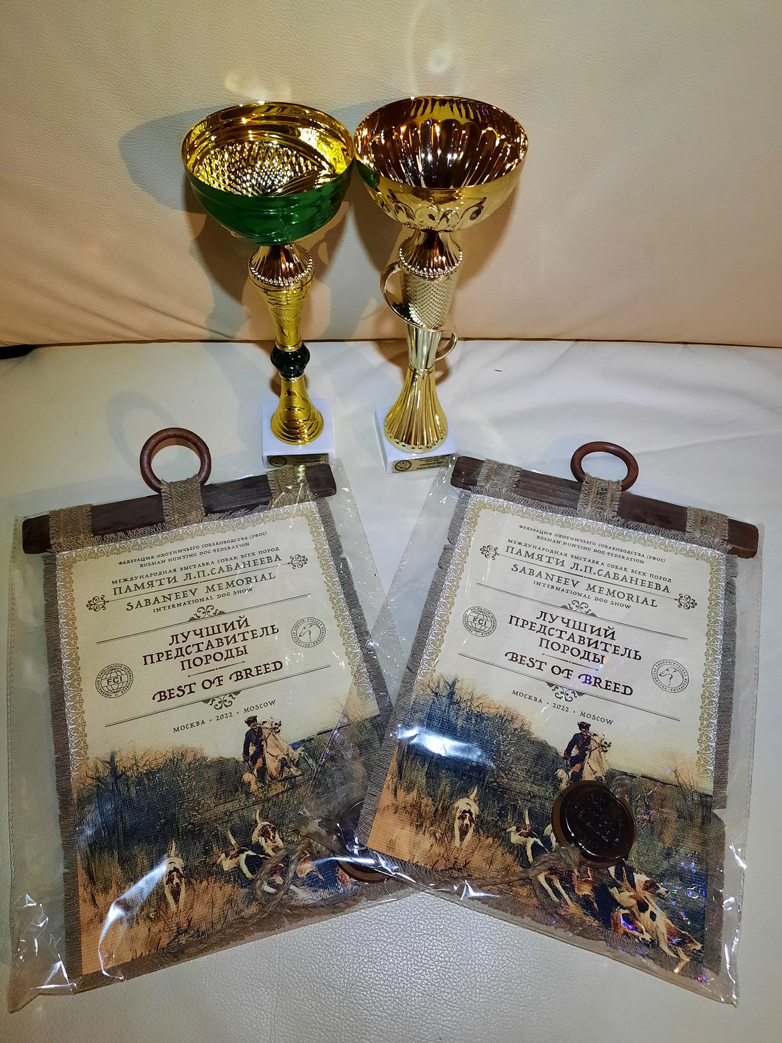 Moscow IDS 2