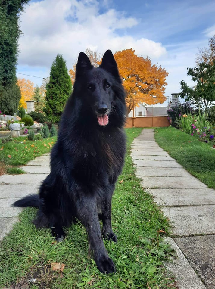 3 years 1