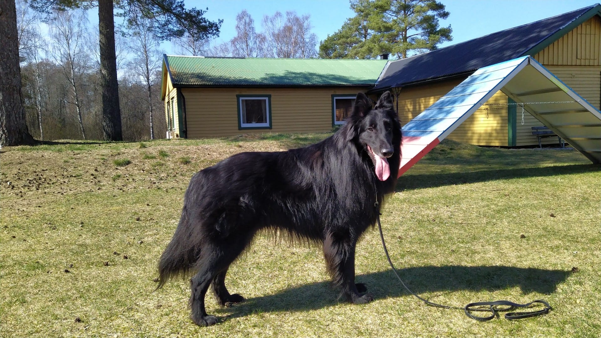 3.5 years 1