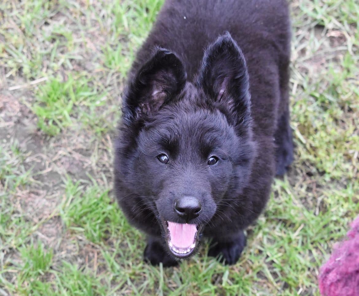8 weeks 9
