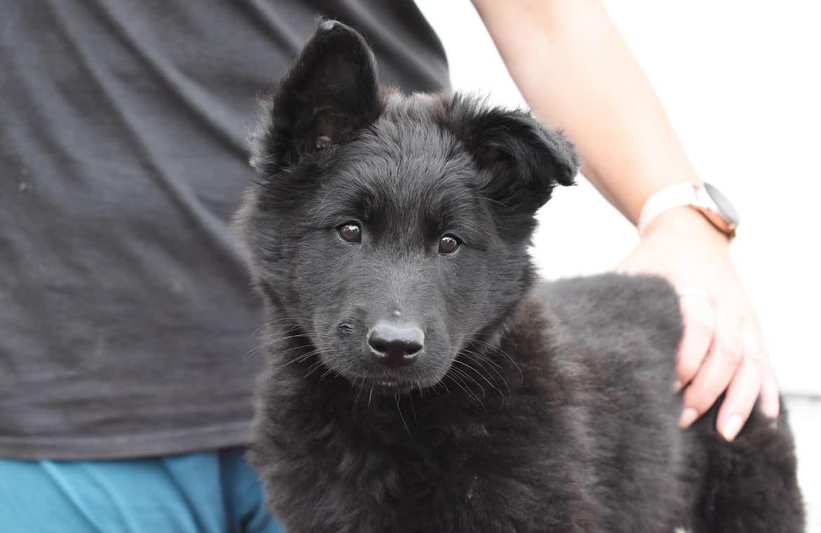 8 weeks 10