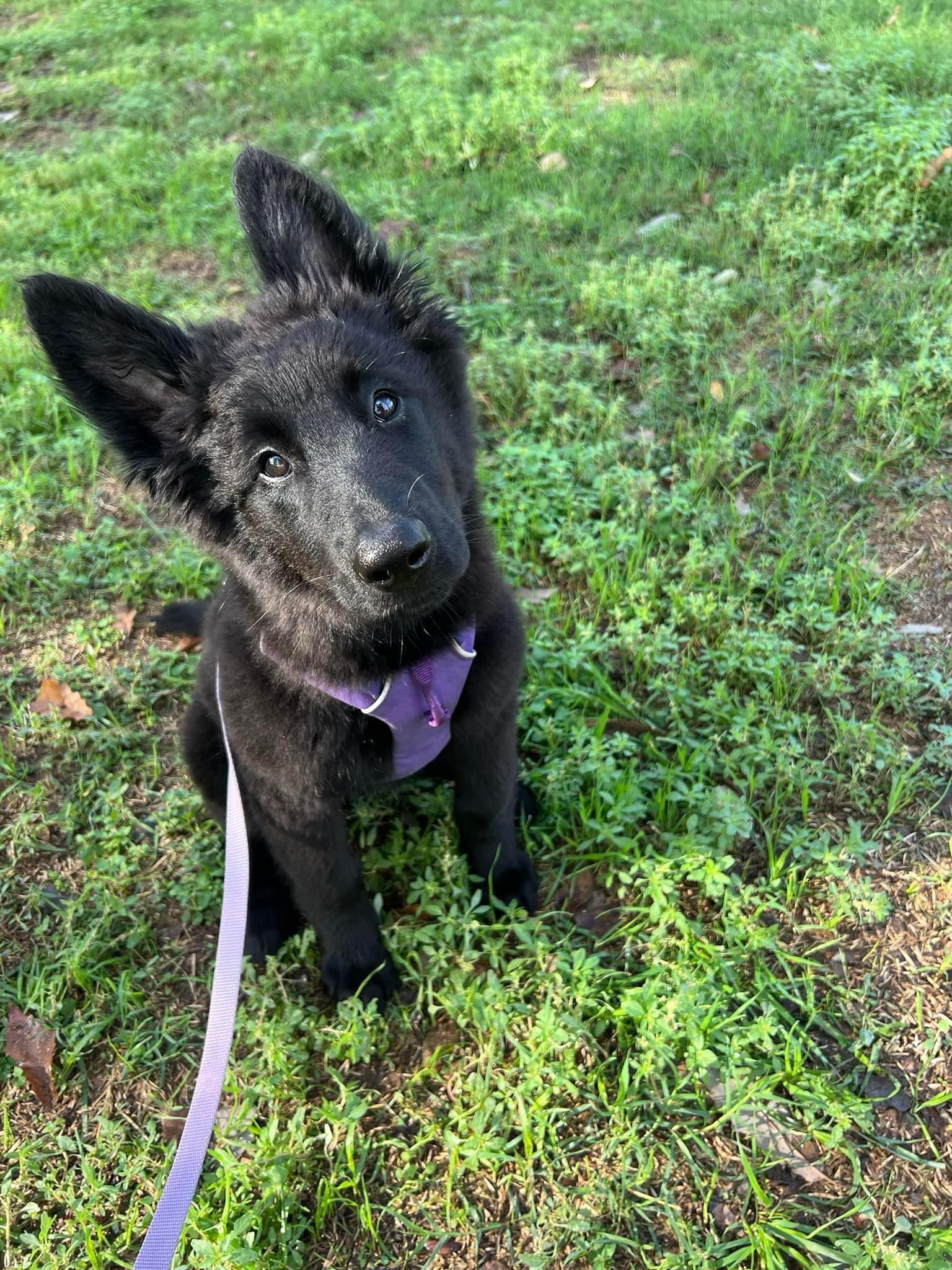 3 months