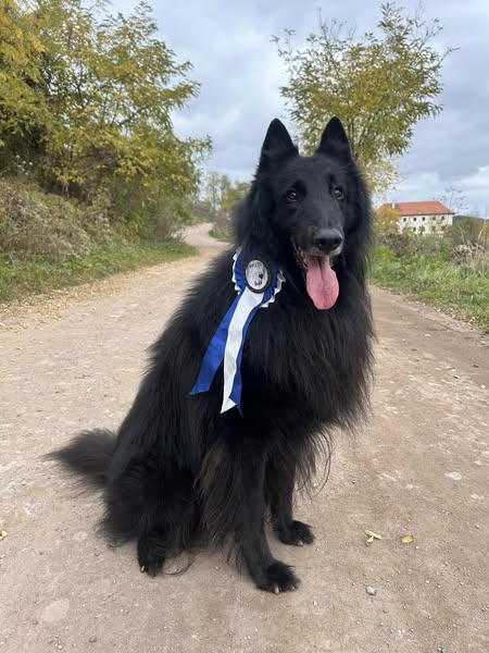 5 years Libušín 1