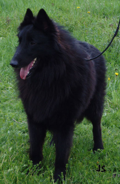 květen 2004 3