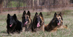 Lia, Anee Oridix, Delphine Erlander & Cosey Mo Deabei